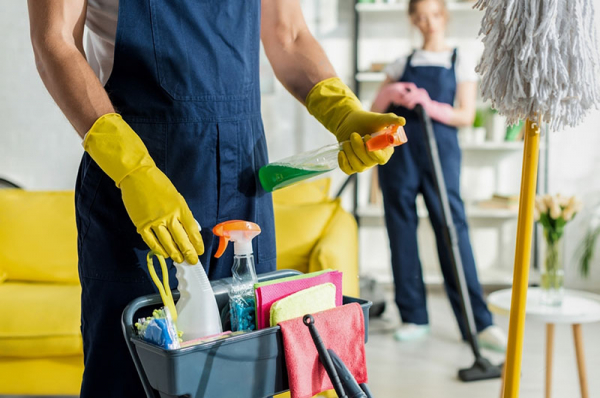 ¡Descubre cómo combatir y prevenir la presencia de polillas en tu hogar con los expertos de Professor Cleaning en España!